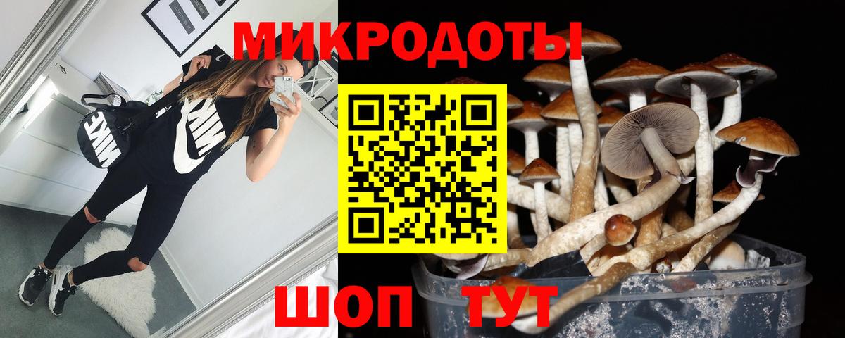 Галлюциногенные грибы GOLDEN TEACHER Нальчик