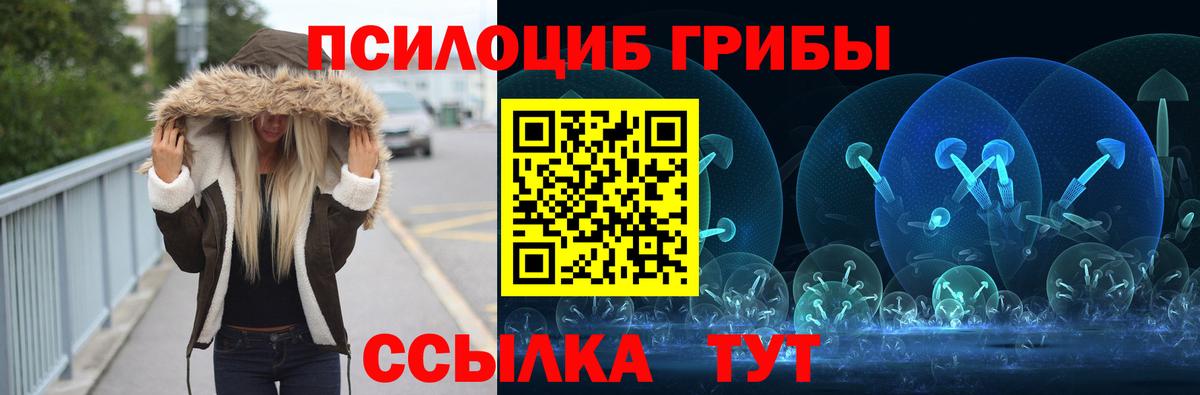 Нальчик  Галлюциногенные грибы прущие грибы  Вход с VPN  Галлюциногенные грибы ЛСД 